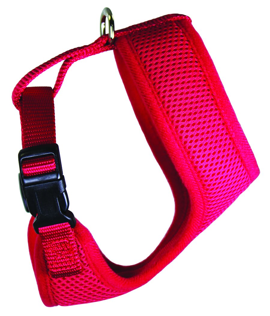 Breezy Mesh Harness Plus Leash Dog Gift Set- 5 Dog Sizes (Extra- Large, Red)