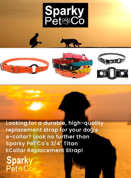 Sparky Pet Co - 1" Titan ECollar Replacement Strap - Bungee Loop Dog Collar