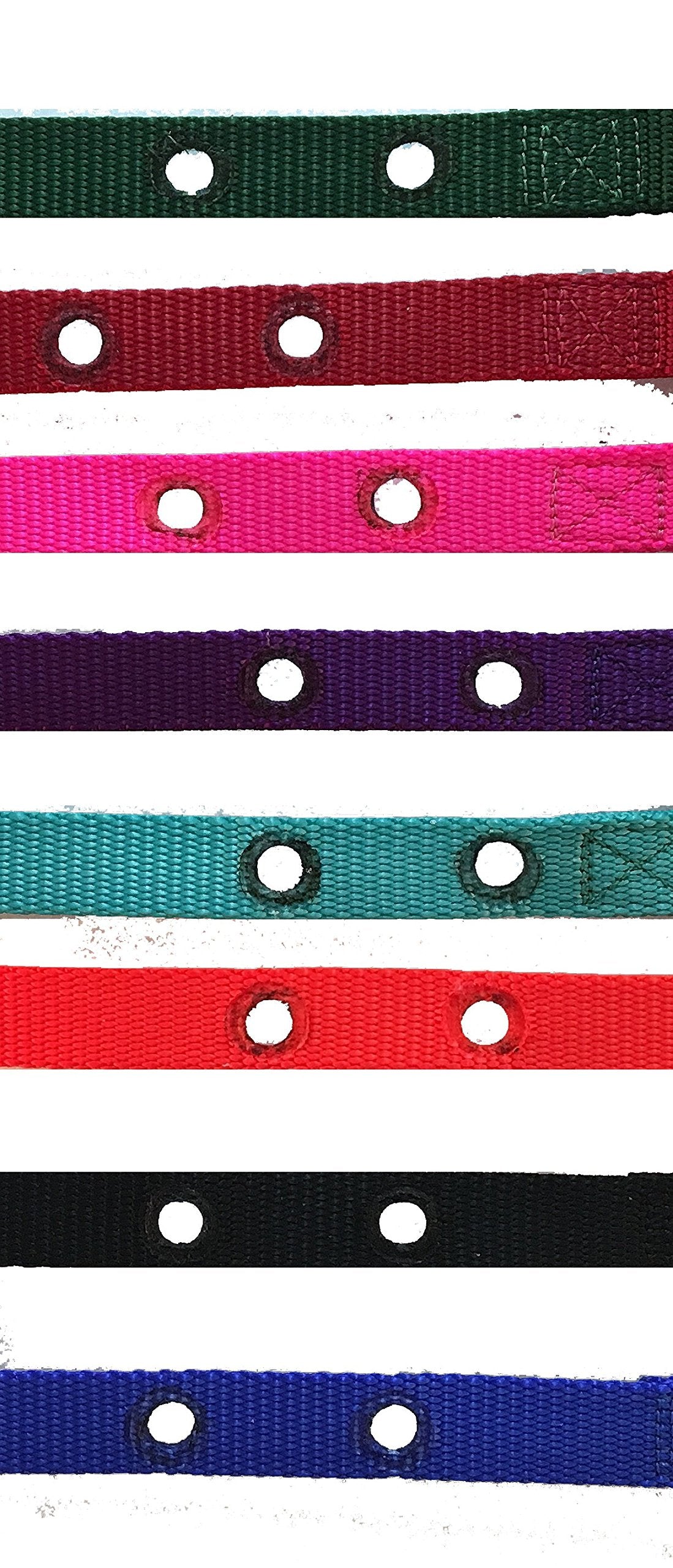 Sparky Pet Co Grain Valley Replacement 3/4" Nylon Strap with 2 Holes Spaced at