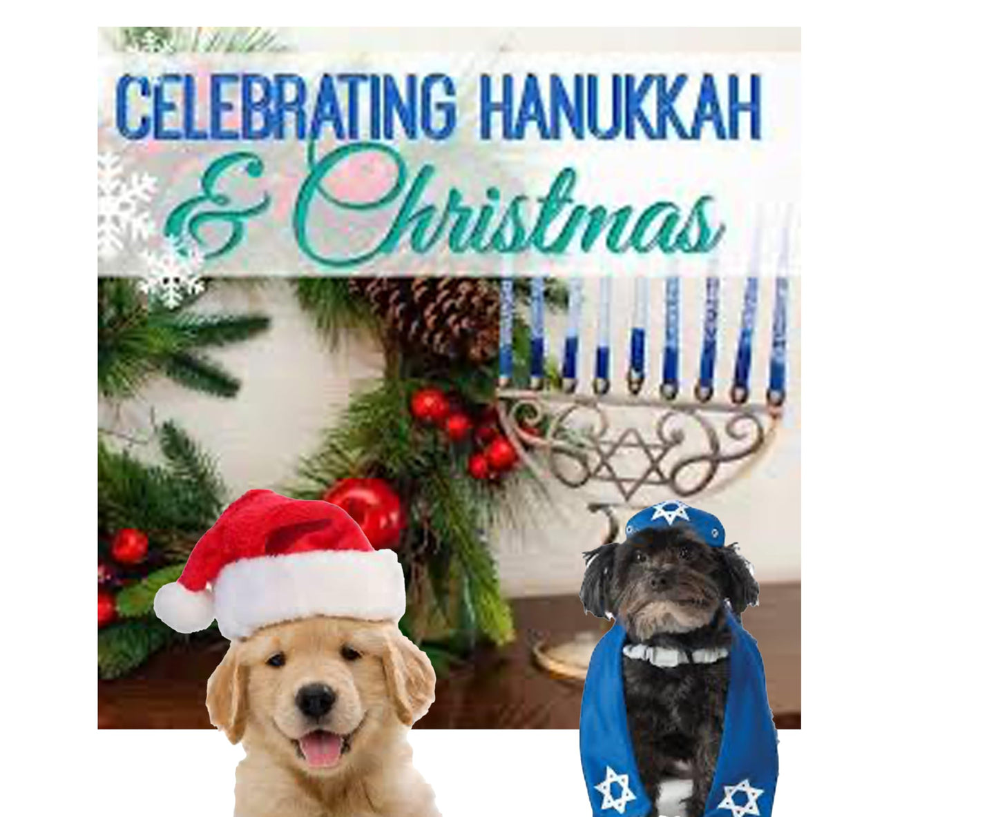 Christmas or Hanukkah Large Dog Spa Gift Set, 5 Pieces: 32 oz Big Dog Water/Food Bowl, Grooming Gloves, 2-10" Natural Rawhide Retreiver Dog Chew Bones and 3 Surprises for Your Dog!