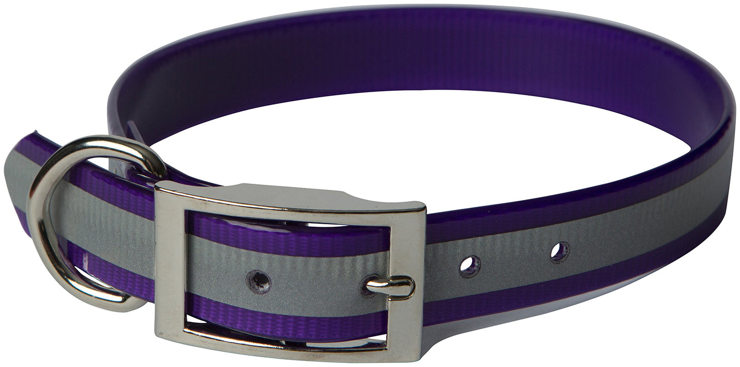 OmniPet Sunglo Reflective Regular Dog Collar, 3/4 x 20, Purple