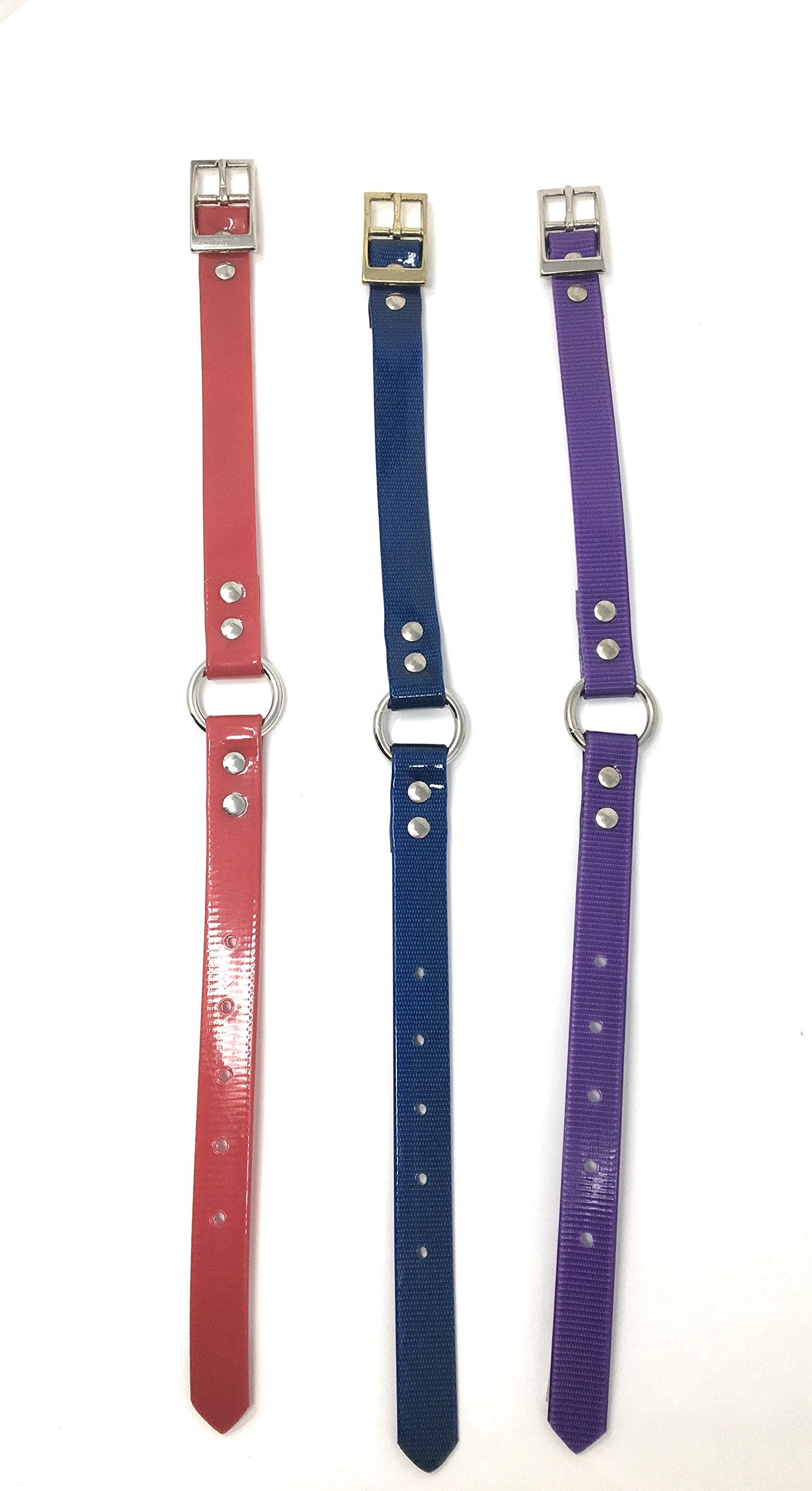 Sparky PetCo 18" High Flex Dog Strap with O Ring - 3 Colors