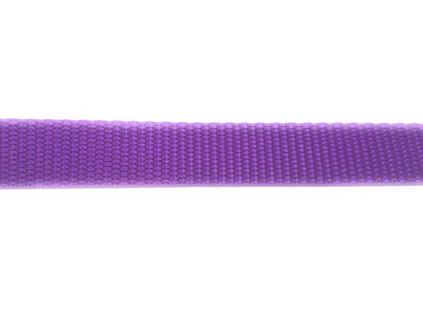 Sparky Pet Co 1" Nylon 2 Hole 1.25 Replacement Strap for Wireless and In Ground Systems - Purple