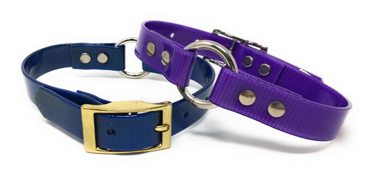 Sparky Pet Co 18" Dog Strap with O Ring - 2 Colors (Blue/Purple)