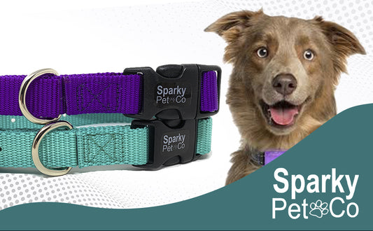 Sparky Pet Co 1" Quick Snap Nylon Double Buckle Replacement E Collar Dog Strap Teal/Purple