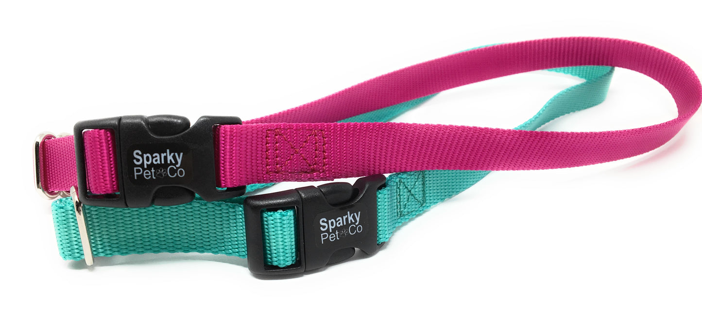 Solid Nylon Dog 3/4" Replacement Collar for No Bark, Wireless Fence In Ground - Raspberry/Teal